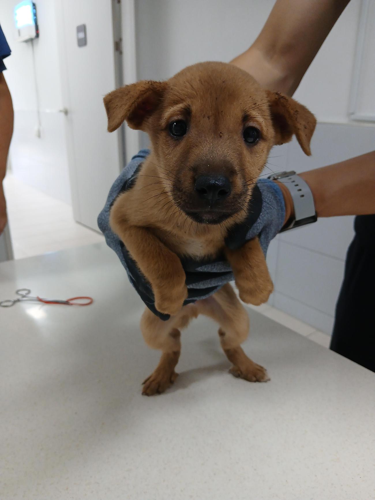 남해군동물보호센터_448543202500169